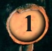 Level 1