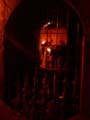 DSCN0358